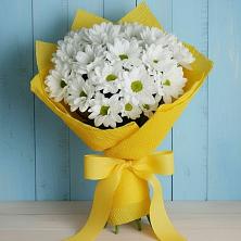 Букет цветов из:  Хризантемы в Заречном Пензенской области