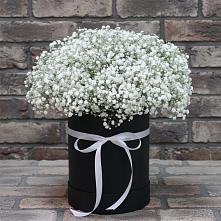 Цветочная композиция из Гипсофила в шляпной коробке #REPLACE_PRED# Заречном Пензенской области